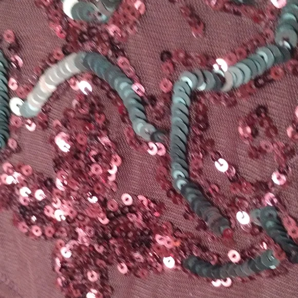 Sequin Hollister Shirt - Picture 2 of 7